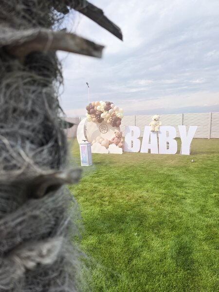 Locatii petreceri si evenimente in aer liber cu piscina, Ilfov-Cernica.